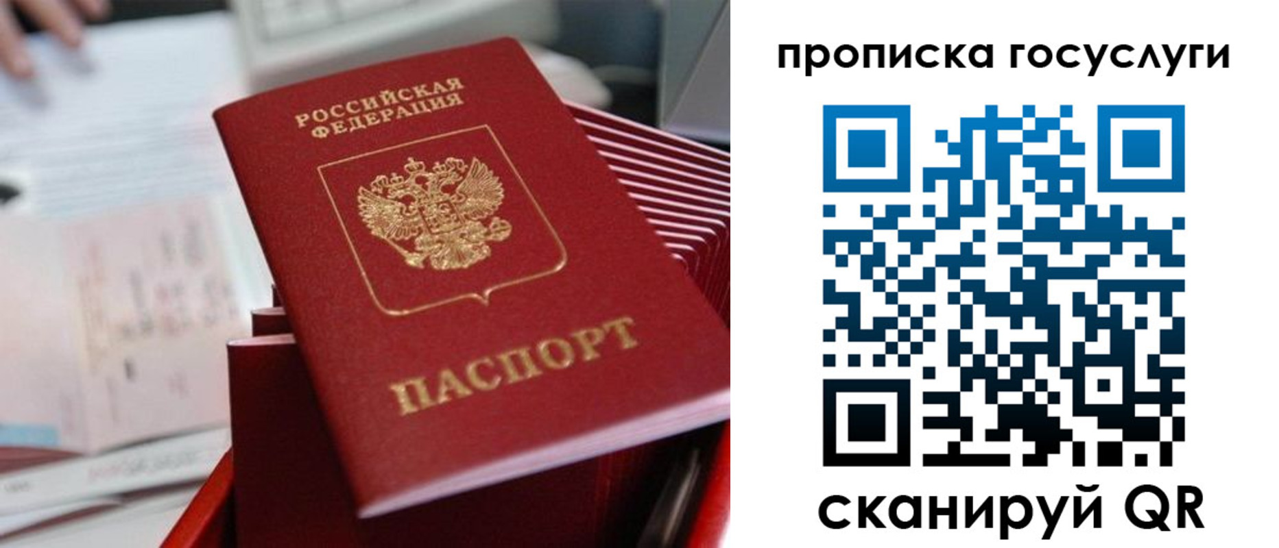 прописка законно в Медногорске